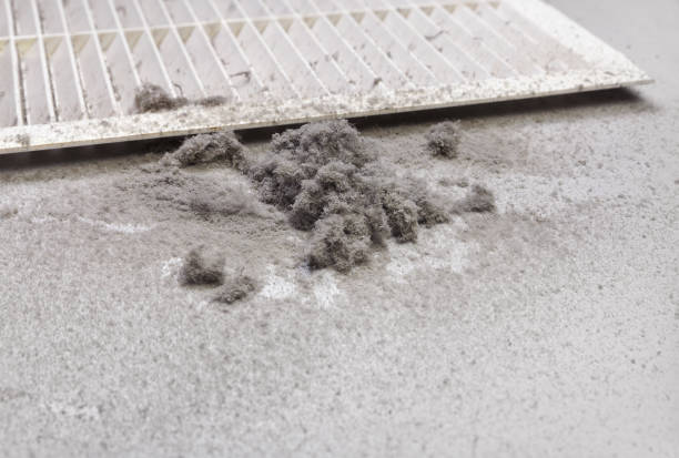 Best HVAC Duct Inspection Services  in Beaufort, NC